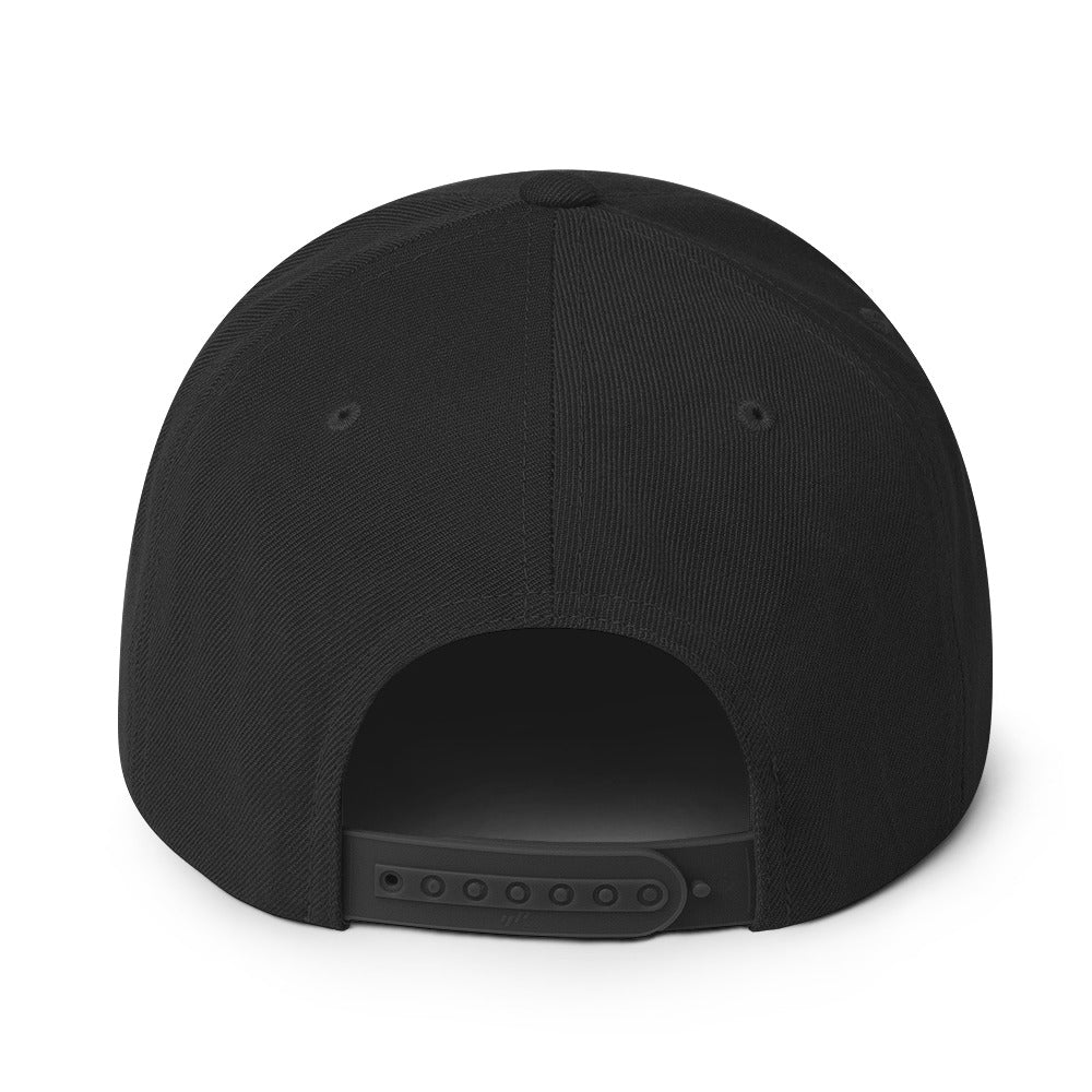 The Classic Snapback Hat